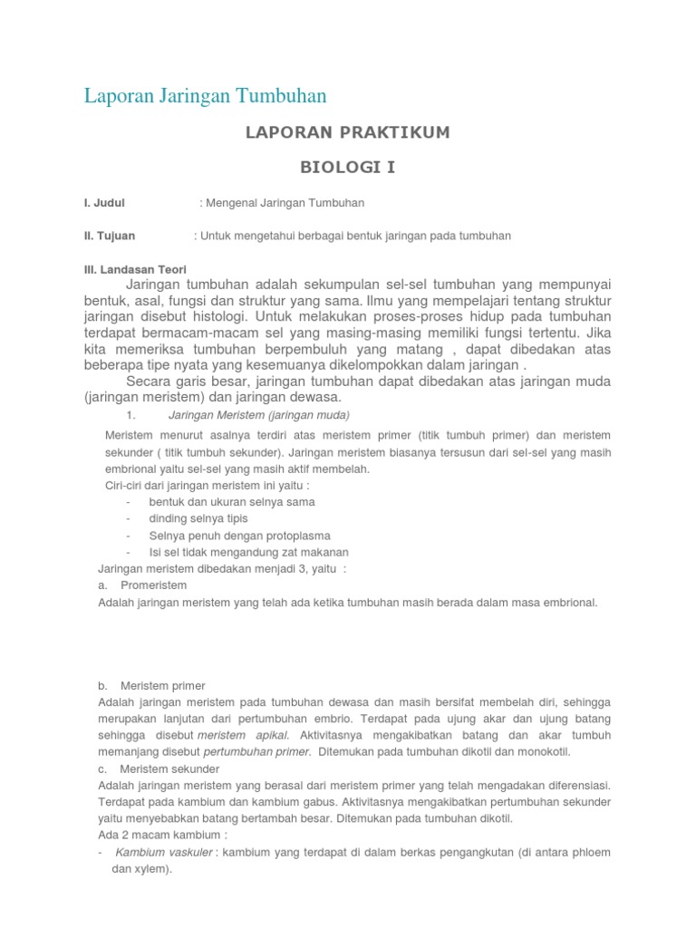 Laporan Jaringan Tumbuhan