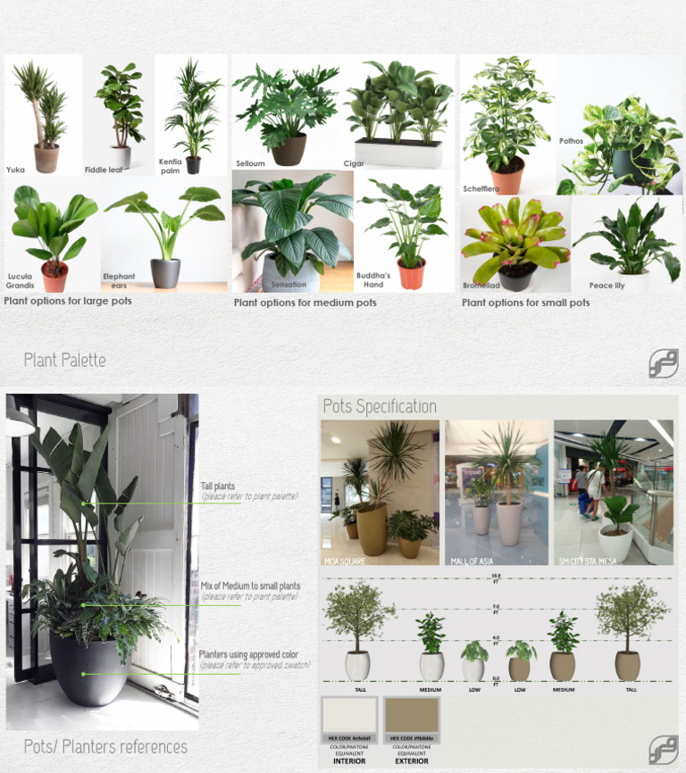6. Planter Guidelines | PDF