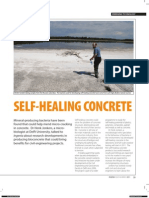 Self-Healing Concrete Extends Lifespan of Structures