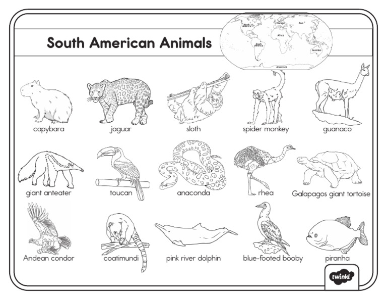 BW South American Animals Word Mat | PDF