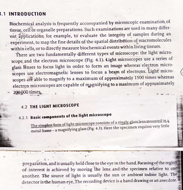 Analytical - Light Microscope | PDF | Microscope | Electron Microscope