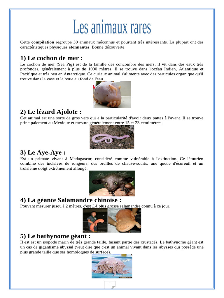 Les Animaux Rares | PDF | Zoologie