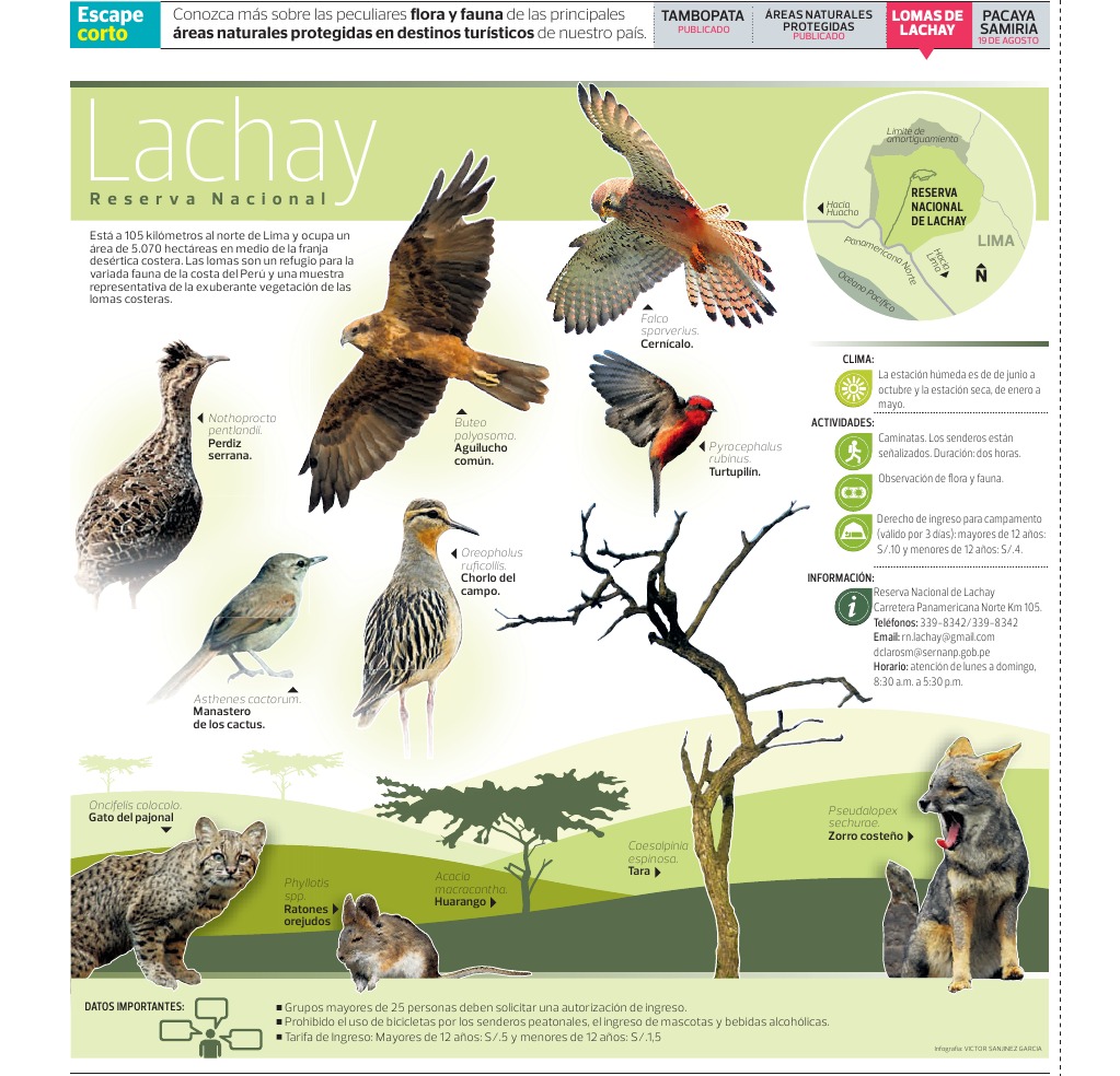 Resultado de imagen para La Fauna de las Lomas Costeras