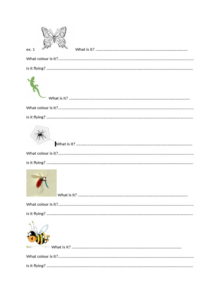 The Insects English 2 Class | PDF