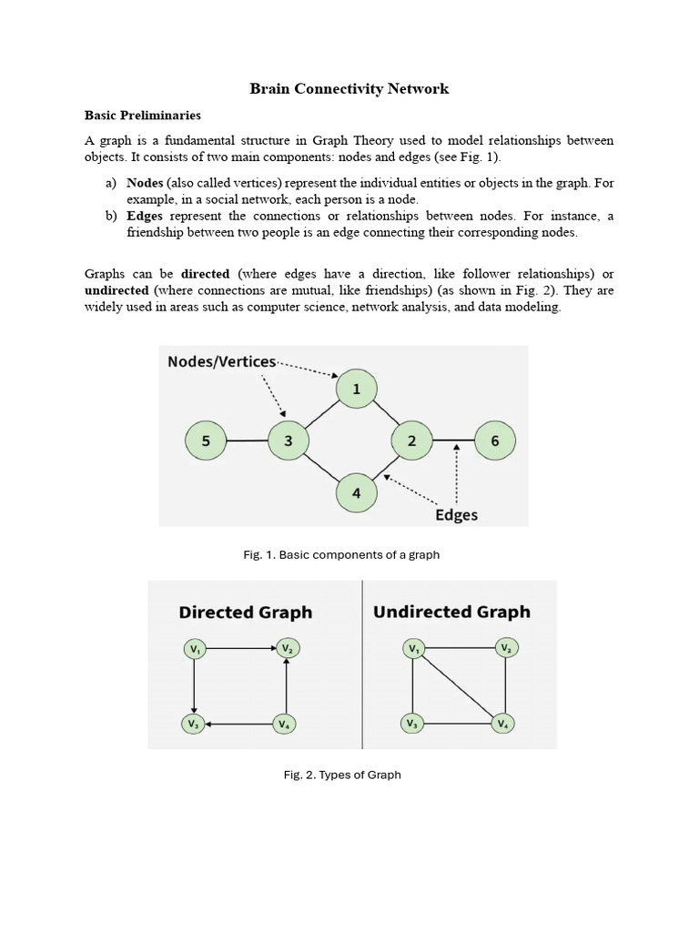 Brain Connectivity Network | PDF | Vertex (Graph Theory) | Graph Theory