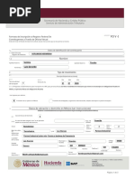 Guía para Presentar la Forma 96 en SAT | PDF