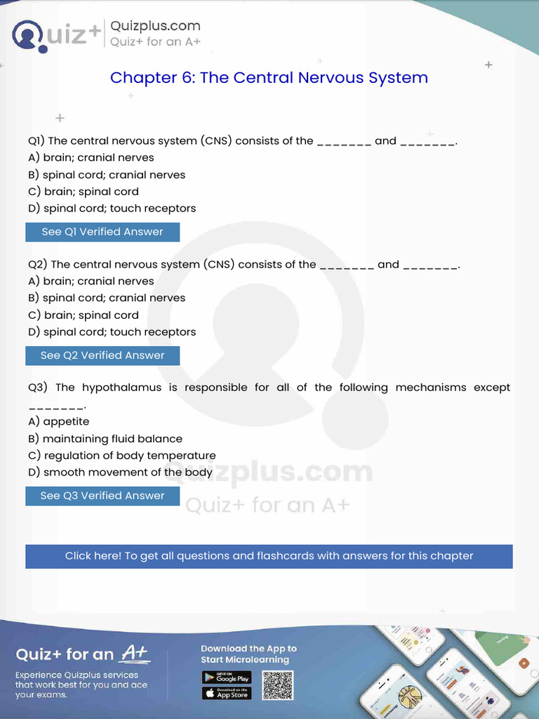 The Central Nervous System Cns Consists of the And | PDF | Vein ...
