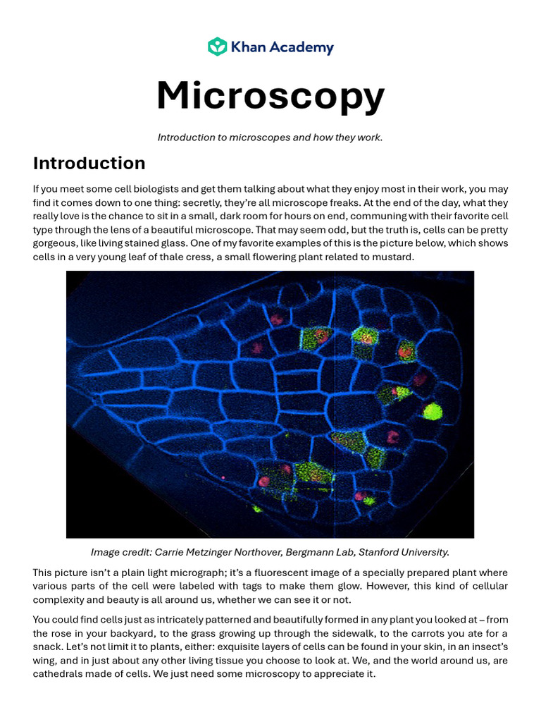 Targeted Reading 3-MIcros | PDF | Microscopy | Microscope