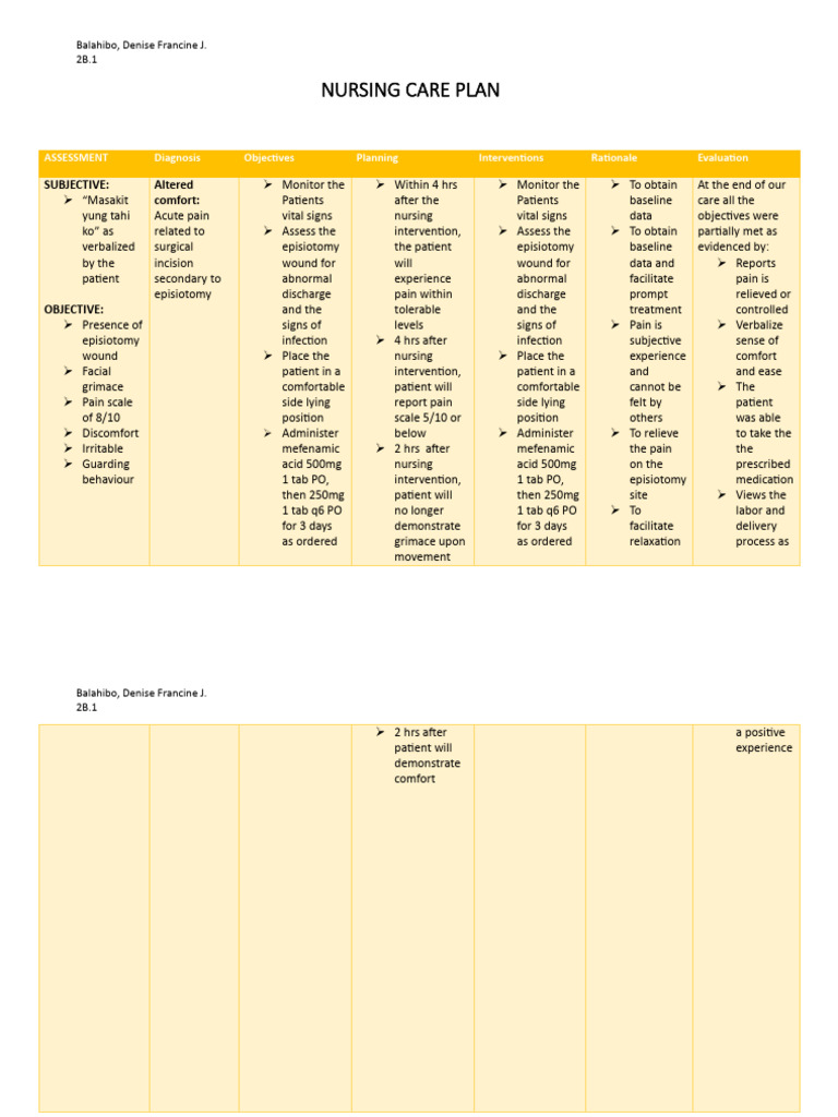 Nursing Care Plan | PDF | Pain | Nursing