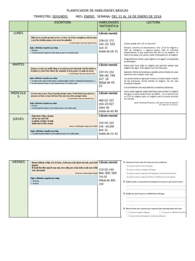 Plan Hab. Básicas Del 12 Al 16 de Enero - Copia | PDF