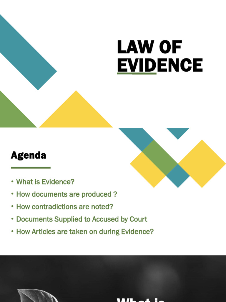 What is Evidence | PDF | Witness | Legal Procedure