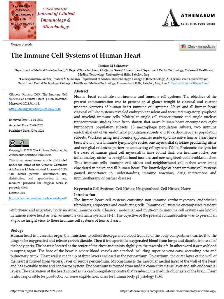 The Immune Cell Systems of Human Heart | PDF | Macrophage | Lymphatic ...