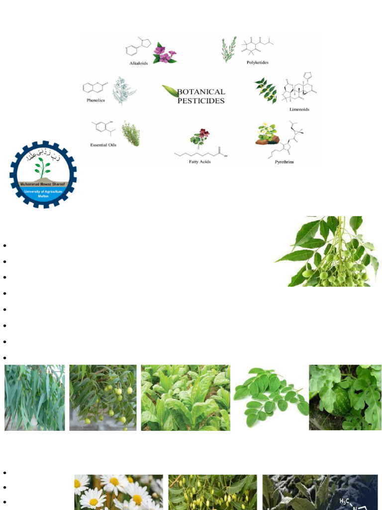 Botanical Pesticides | PDF | Insecticide | Agriculture