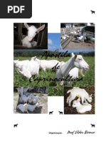 Apostila Caprinocultura