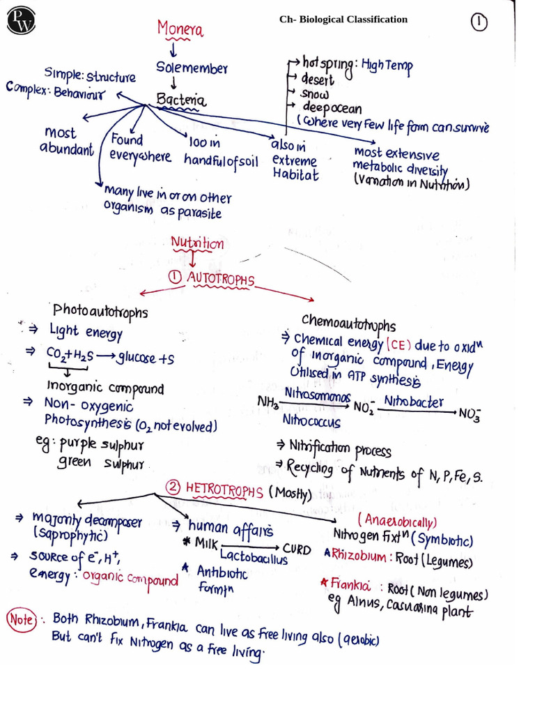 Biological Classification 01 _ Handwritten Notes __ Arjuna NEET 2025 | PDF
