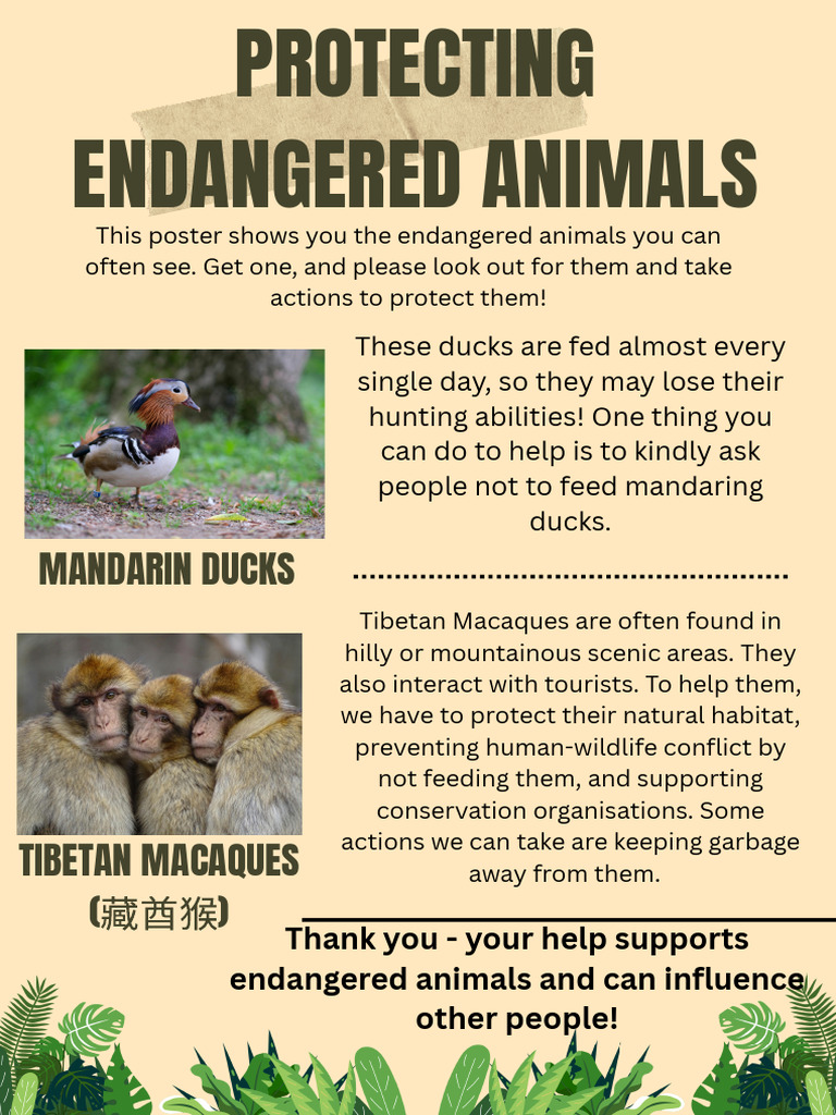Protecting Endangered Animals Taking Action (2) | PDF
