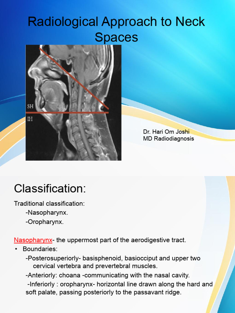 Anatomy of Neck Space by Dr. Hari Om | PDF | Common Carotid Artery | Neck