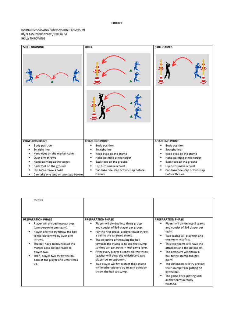 Lesson Plan Cricket (Throwing) | PDF | Ball Games | Ball And Bat Games