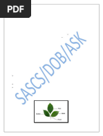 Leaf Attachment and Arrangement Guide | PDF | Leaf | Botany