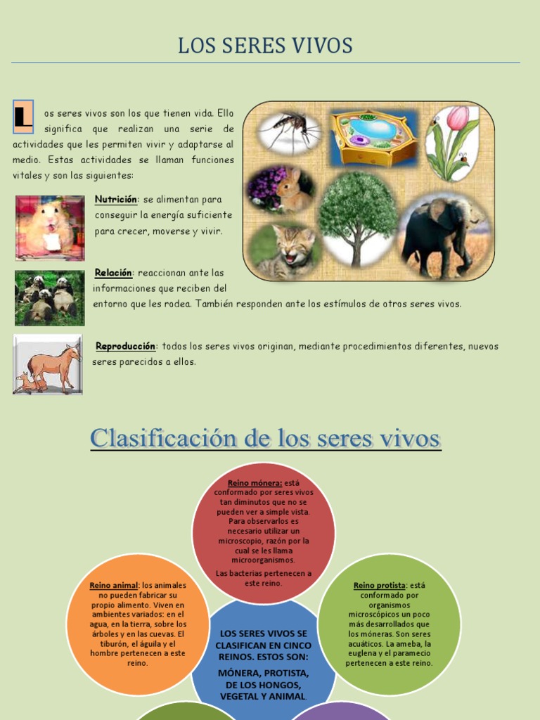 Tema 1 Los Seres Vivos | PDF