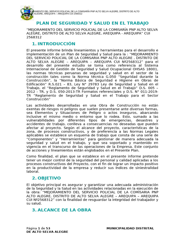 Plan de Seguridad y Salud en El Trabajo 17.03.2025 | PDF | Seguridad y ...