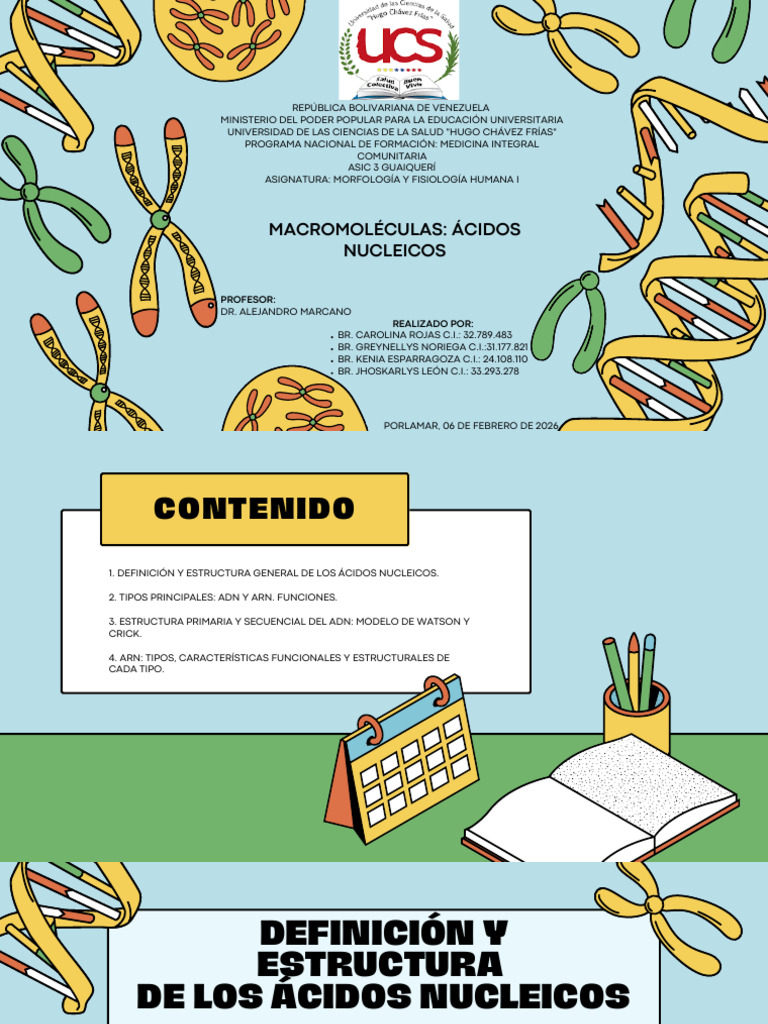 Los Acidos Nucleicos | PDF | Adn | Rna