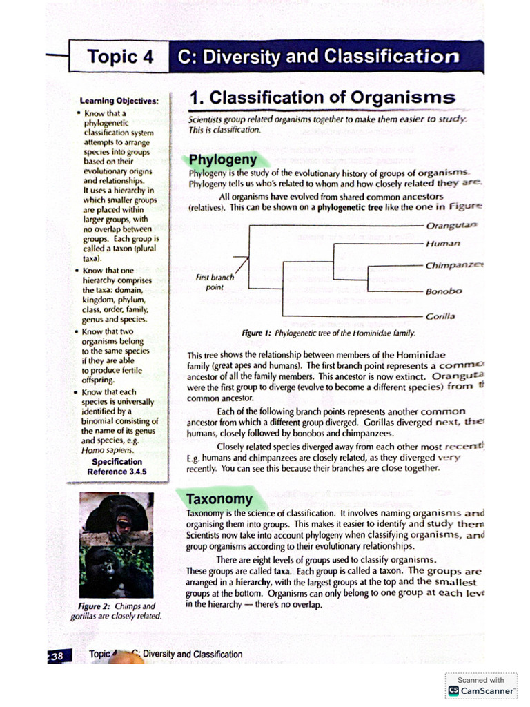 Diversity and classification | PDF