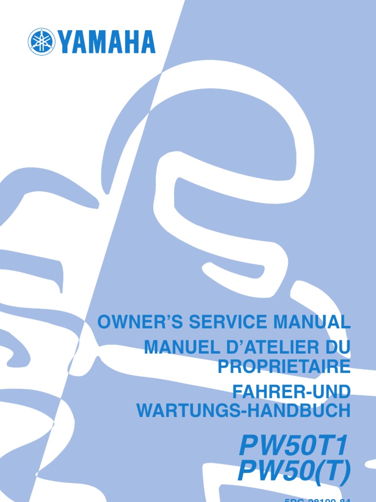 PW50 SERVICE MANUAL PDF visual data 3