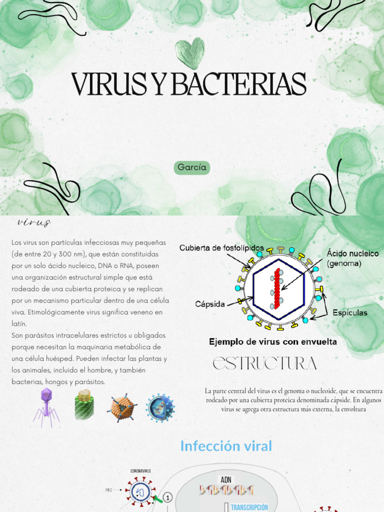 Virus y Bacterias | PDF | Virus | Las bacterias