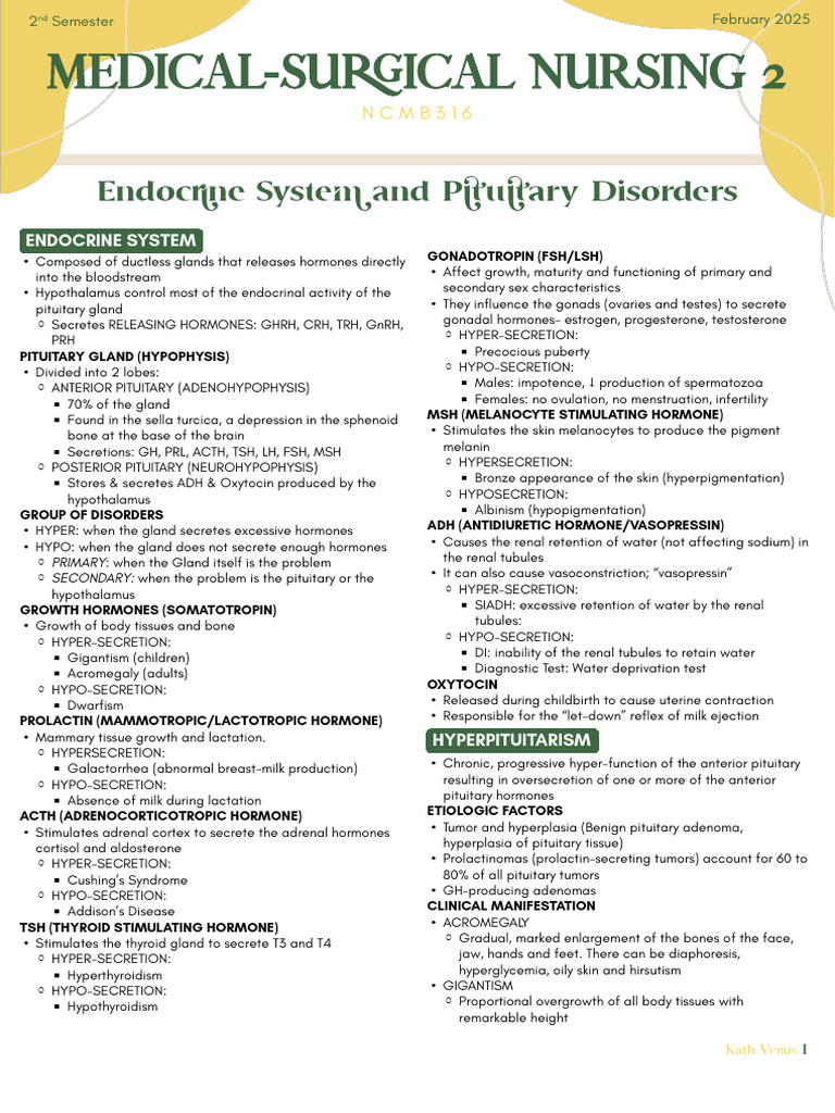 2.05 - Endocrine System and Pituitary Disorders | PDF | Pituitary Gland ...