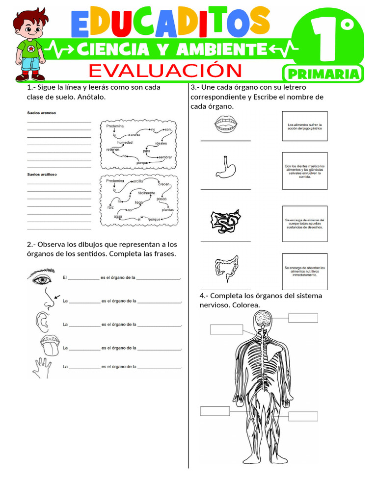 Evaluacion de Ciencia y Ambiente para Primer Grado de Primaria 1 | PDF