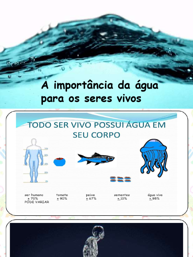 Agua Importancia para Os Seres Vivos | PDF | Água | Ambiente natural