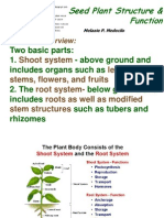 Vegetative Organs