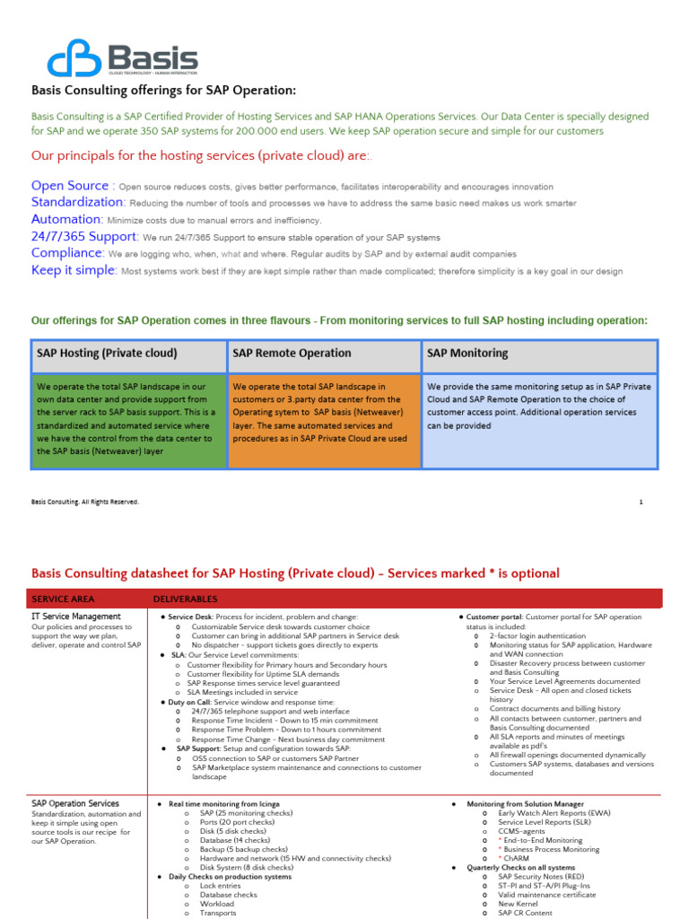Basis Managed Services | PDF | Cloud Computing | Malware