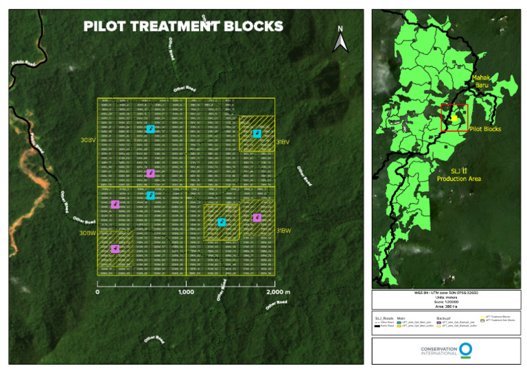 LIFT Pilot Map Georef | PDF