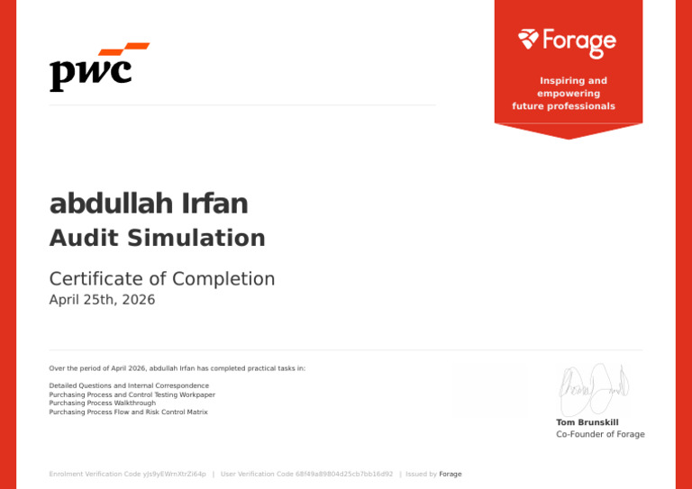 PWC AUDIT | PDF