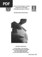 Diagnostico gravidez