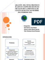 Comparación  Del Nivel Proteico Del Hígado En 4