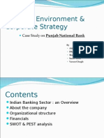 Punjab National Bank Project Report