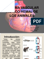 Exposicion de Sist. Hidrco Hemal (2)