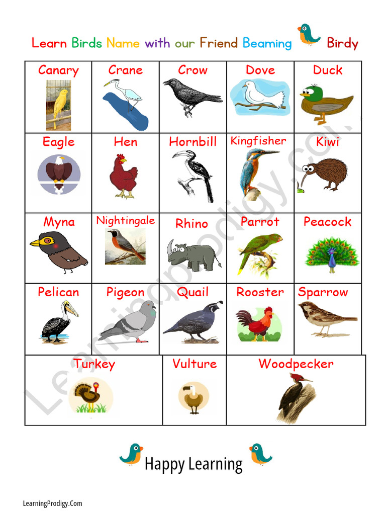 Birds Chart.pdf | PDF