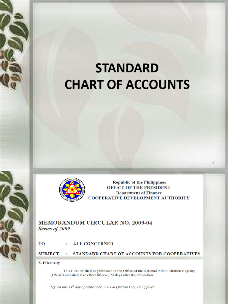 3. Standard Chart of Accounts | PDF | Auditor's Report | Audit