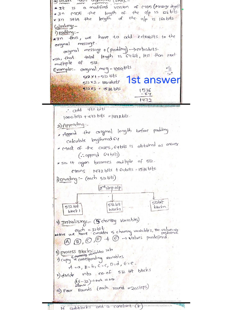 CNS U-3 Answers | PDF