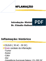 61234184-inflamacao-1