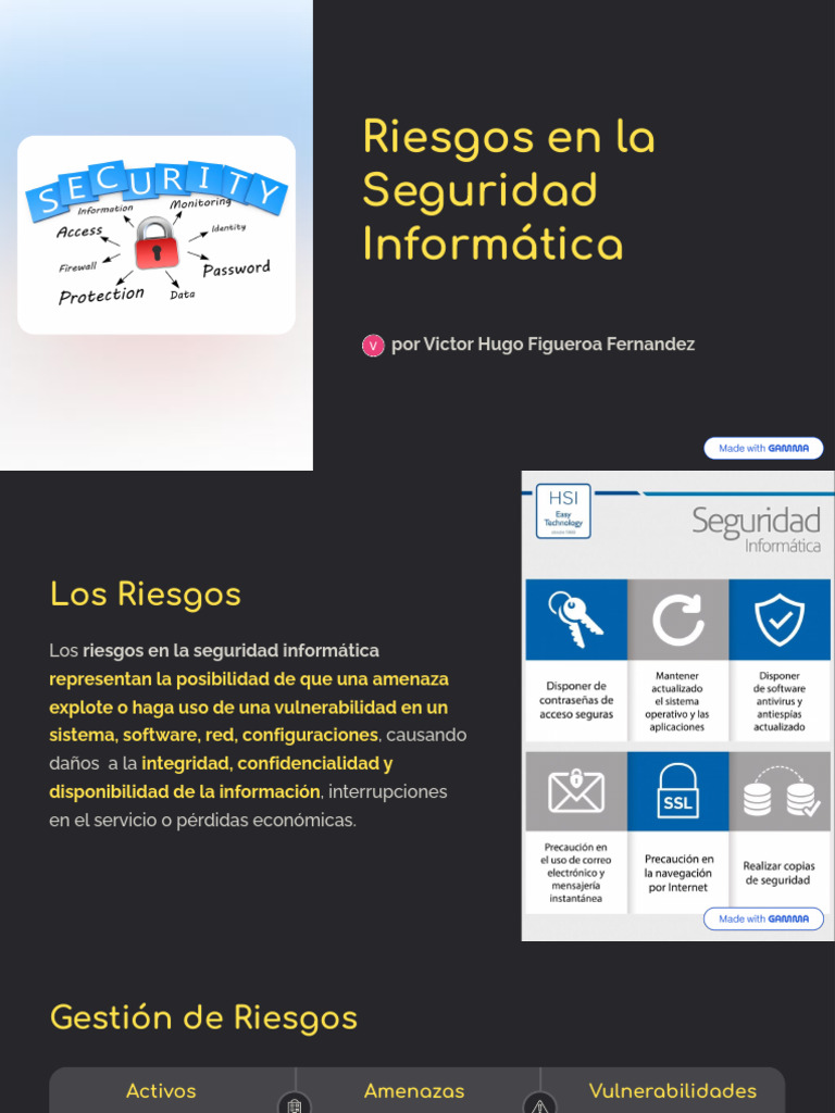 Riesgos en La Seguridad Informatica (2) | PDF | La seguridad ...