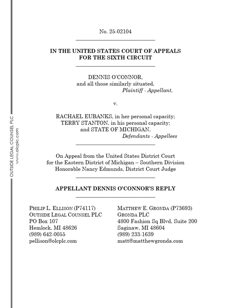 Reply Brief_25-02104_20 | PDF | Appeal | Precedent