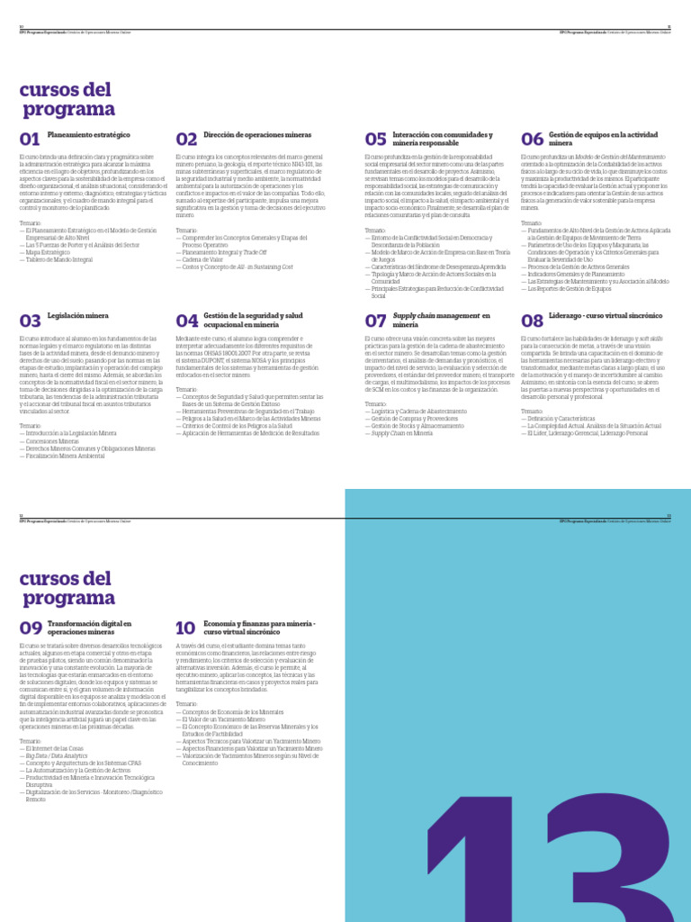 Sumilla (1) | PDF | Minería | Planificación