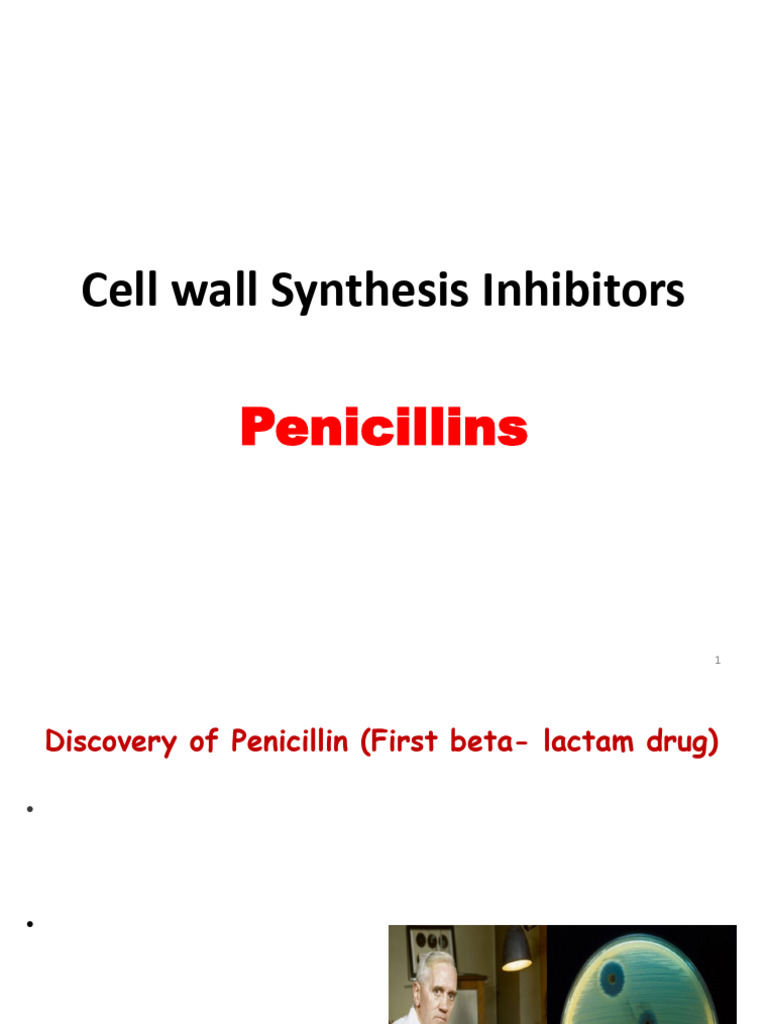 Penicillins | PDF | Penicillin | Medical Specialties