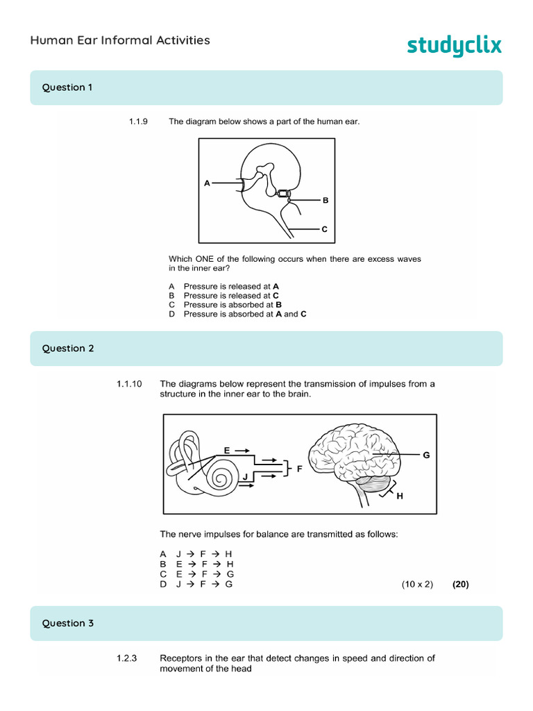 Human Ear Informal Activities Questions | PDF
