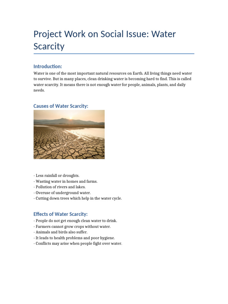 Social Issue Project Water Scarcity Class6 | PDF